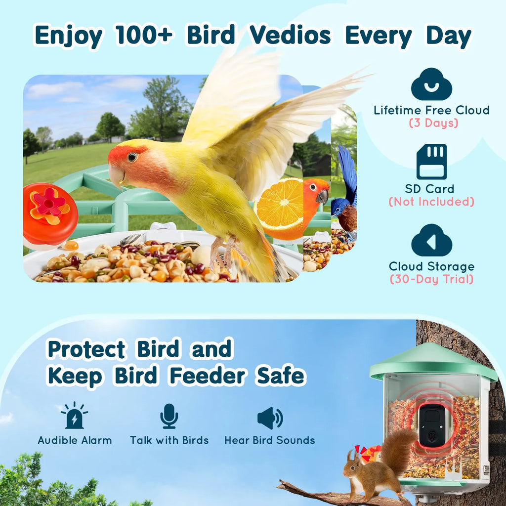 Bivo NestView
